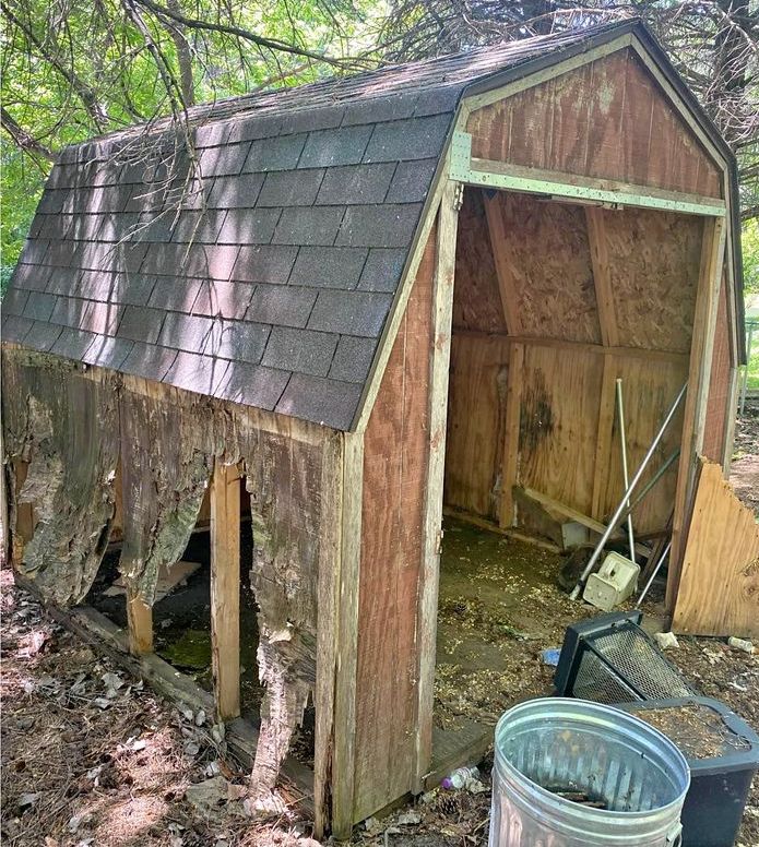 Free yard shed on FB Marketplace