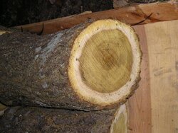 Need help on type of tree/firewood this is.