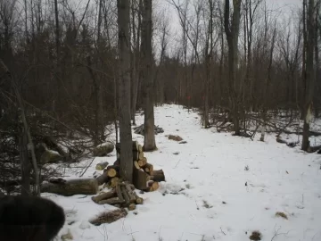 [Hearth.com] Finally finished my wood road today