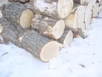 [Hearth.com] help identifying wood part 2