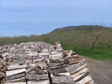 [Hearth.com] Just ordered my wood!