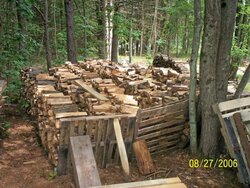 How is your wood pile doing?