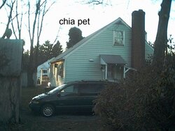 My Neighbors Chia Pet