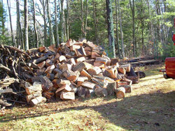 Split some wood today.