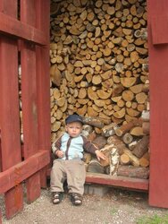 Kids and wood heat