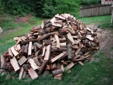 [Hearth.com] Moldy pine?