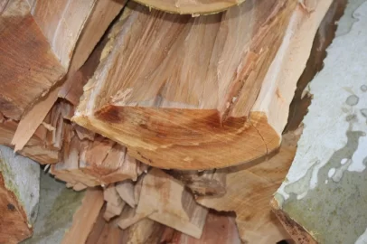 [Hearth.com] New burner wood