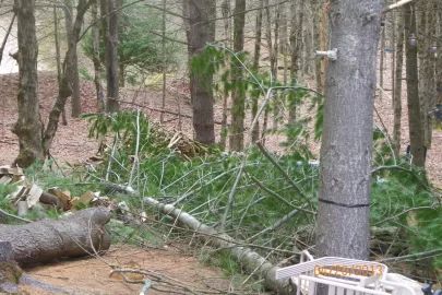 [Hearth.com] Mother Nature = Shoulder Season Wood