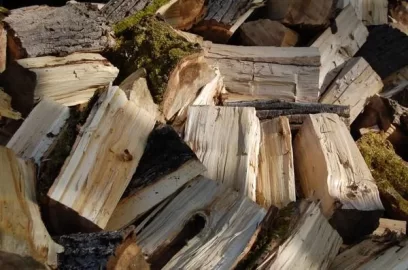 [Hearth.com] wood ID