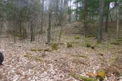 [Hearth.com] New Trail