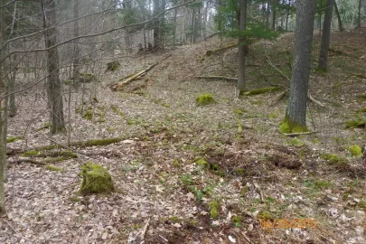 [Hearth.com] New Trail