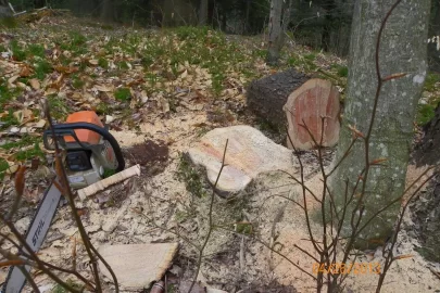 [Hearth.com] New Trail
