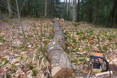 [Hearth.com] New Trail