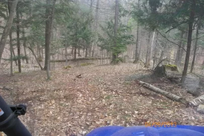 [Hearth.com] New Trail