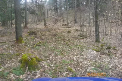[Hearth.com] New Trail