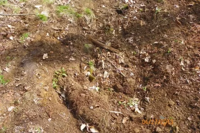 [Hearth.com] Trail Maintenance
