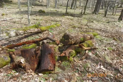 [Hearth.com] Trail Maintenance