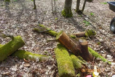 [Hearth.com] Trail Maintenance