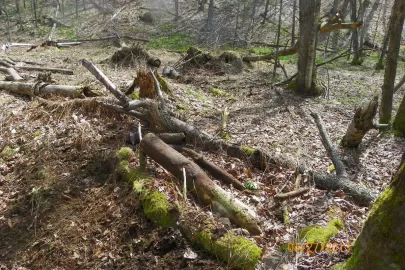 [Hearth.com] Trail Maintenance