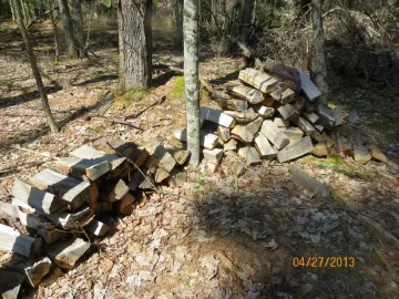 [Hearth.com] New Trail