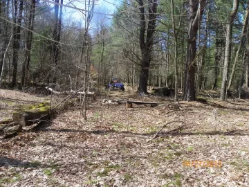 [Hearth.com] New Trail