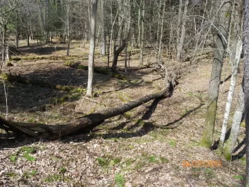 [Hearth.com] New Trail