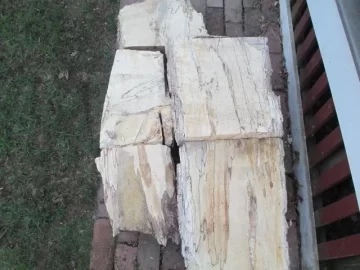 [Hearth.com] I rescued these from the firepit.  One man's trash is another man's treasure.