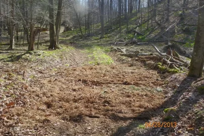 [Hearth.com] Trail Maintenance