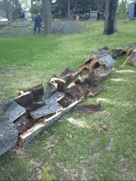 [Hearth.com] Cut up a nasty one yesterday......