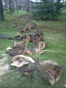 [Hearth.com] Cut up a nasty one yesterday......