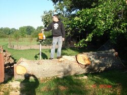 Cutting Osage orange / Hedge in the summer
