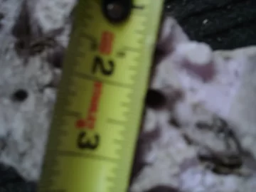 DSC02863.JPG DSC02863.JPG