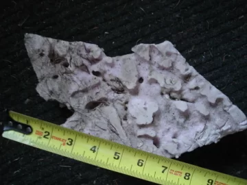 DSC02862.JPG DSC02862.JPG