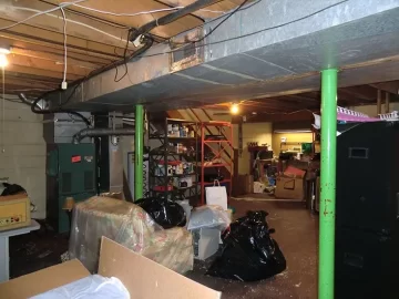[Hearth.com] Mold remediation - I think stachybotrys