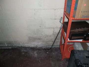 [Hearth.com] Mold remediation - I think stachybotrys