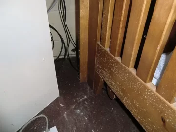 [Hearth.com] Mold remediation - I think stachybotrys