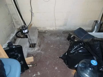 [Hearth.com] Mold remediation - I think stachybotrys
