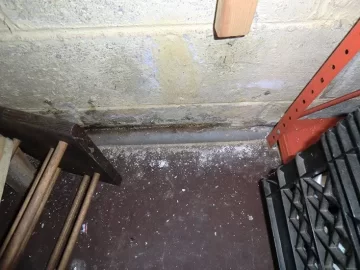 [Hearth.com] Mold remediation - I think stachybotrys