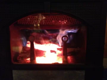 [Hearth.com] New Stove After Only One Year?  Need reality check