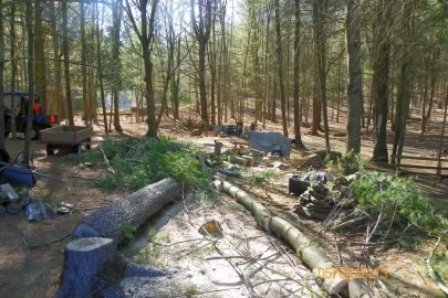 [Hearth.com] Trail Maintenance