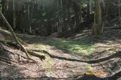 [Hearth.com] Trail Maintenance