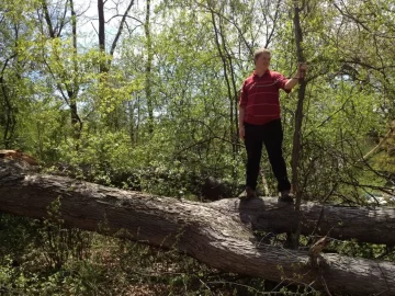 [Hearth.com] BIG white oak came down this week