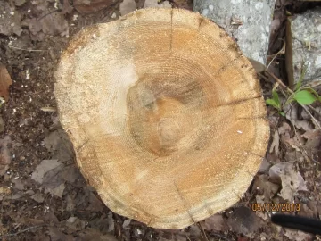 [Hearth.com] See what my neighbor gave me
