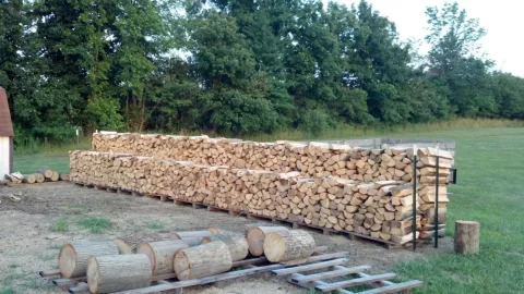 [Hearth.com] Ram full of this find, please id...