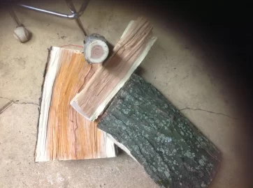 [Hearth.com] Ram full of this find, please id...