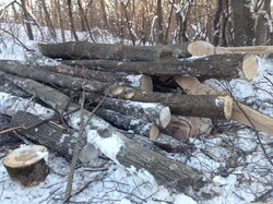 If splitting your own wood warms you twice... (Wood ID & Stack pics!)