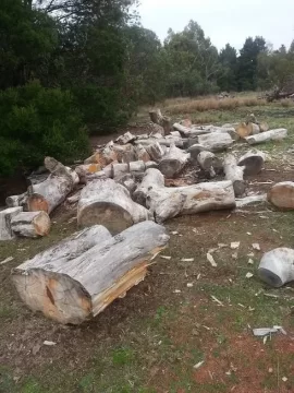 [Hearth.com] Time for redemtion! - This weekends wood scrounge