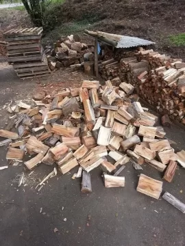 [Hearth.com] Time for redemtion! - This weekends wood scrounge