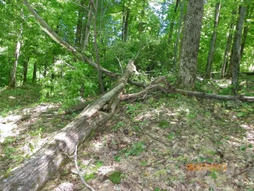 [Hearth.com] More Storm Damage