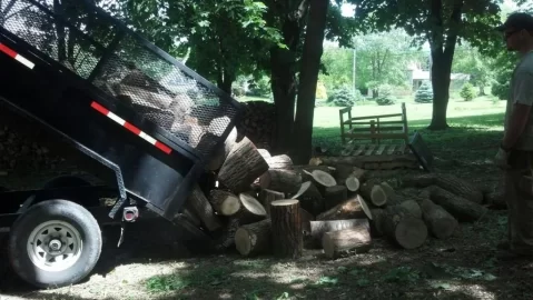 [Hearth.com] Good load today